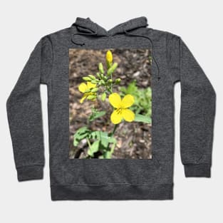 Four Petal Wildflower Hoodie